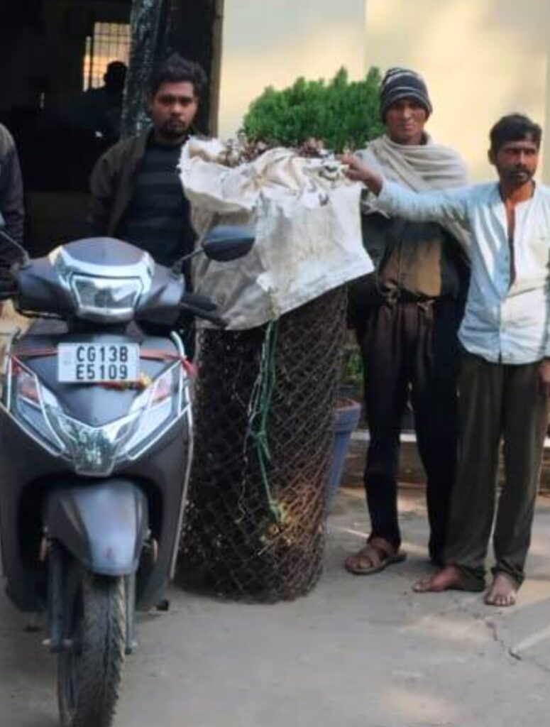 9a1c6085 c6d6 4650 9f12 af310a0d3757 1 all 12060