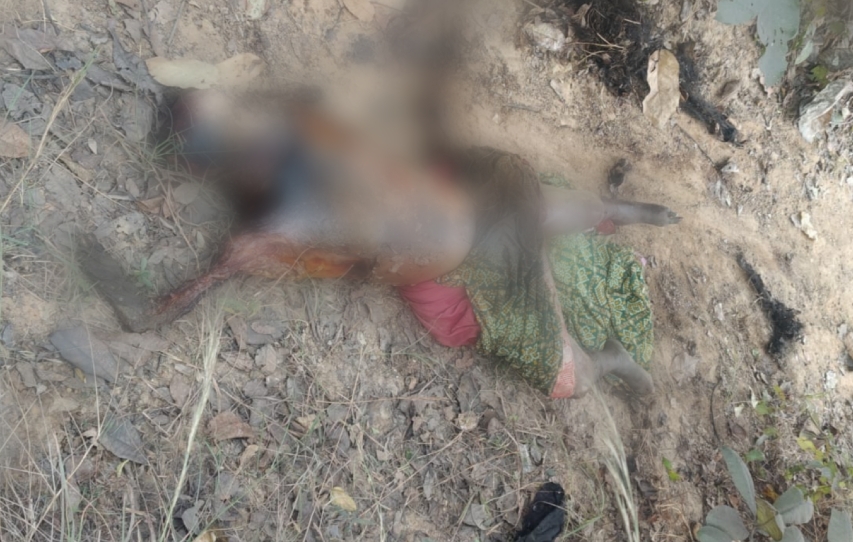 Screenshot 2026 01 11 09 47 12 76 3a637037d35f95c5dbcdcc75e697ce91