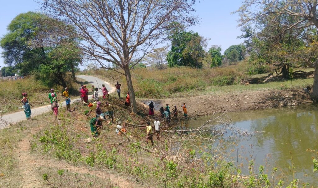 सामूहिक श्रमदान से चमका ग्राम झिमकी का तालाब .. स्वच्छता व जल संरक्षण का दिया संदेश 2 2749090