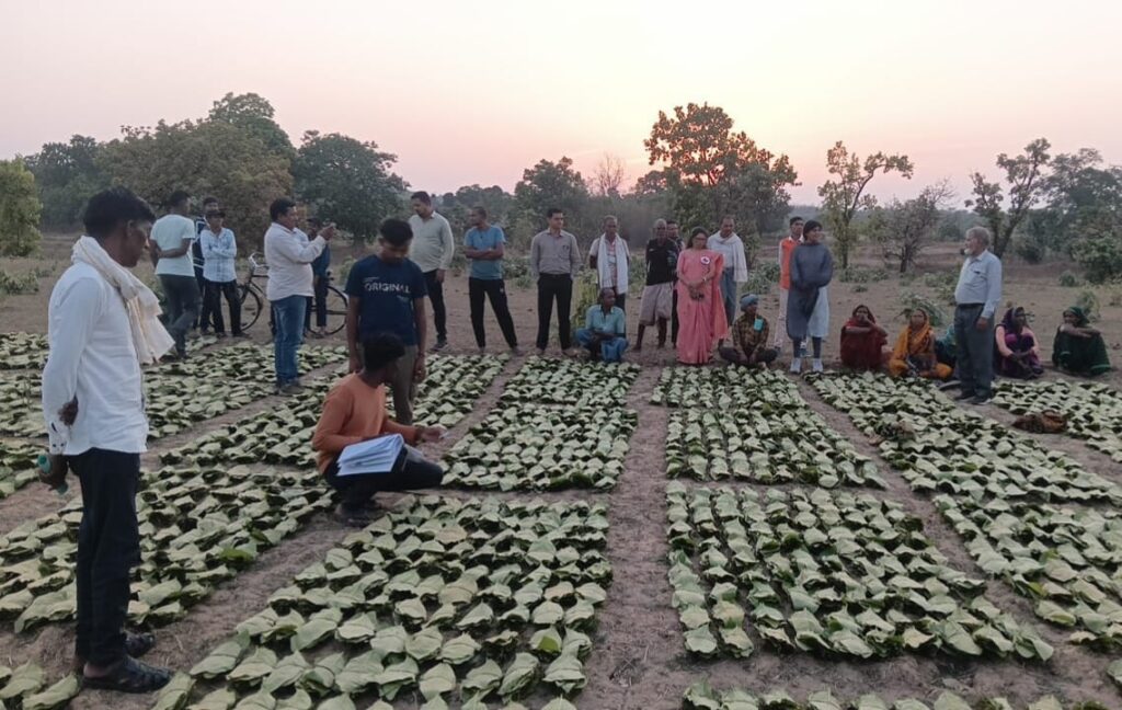 साय सरकार का बड़ा तोहफा .. तेन्दूपत्ता संग्रहको के खाते मे 1.39 करोड़ सीधे ट्रांसफर 1 3812357
