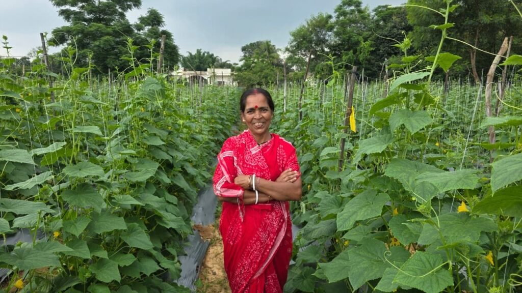 खीरे की खेती से सुभद्रा मंडल ने लिखी आत्मनिर्भरता की नई कहानी 1 4379523