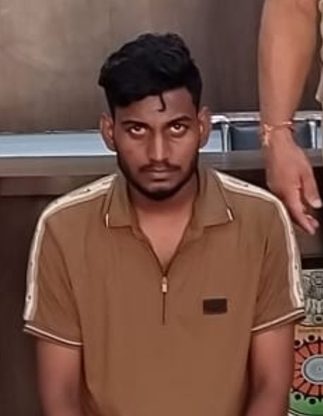 4503229