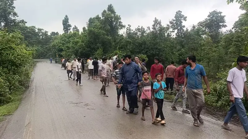 नाला में गिरा ट्रक .. चालक की तलाश जारी 5 4558198